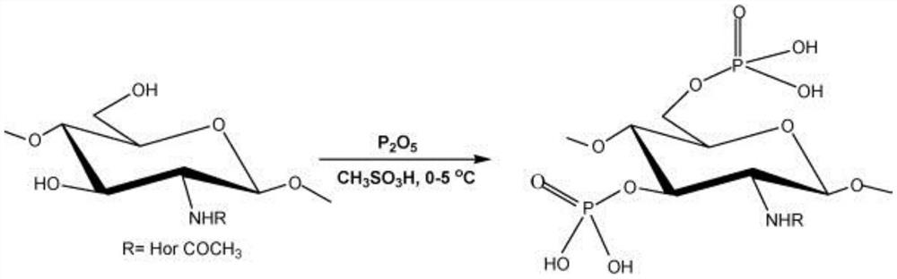 Phosphorylated chitosan derivative as well as preparation method and application thereof