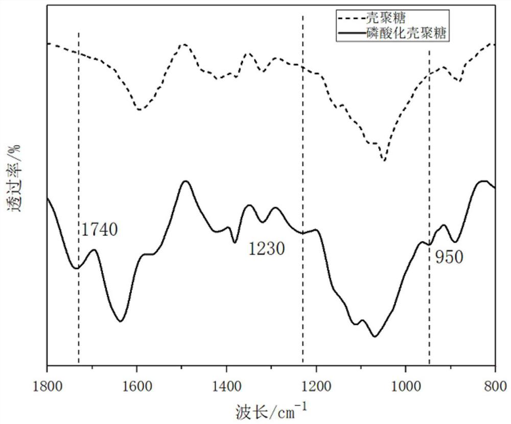 Phosphorylated chitosan derivative as well as preparation method and application thereof