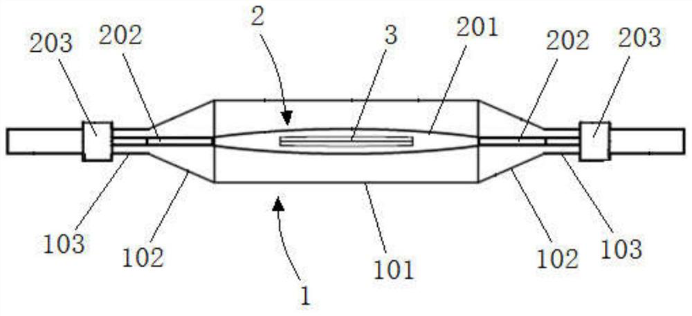 Balloon catheter for linearly segmenting gland tissue