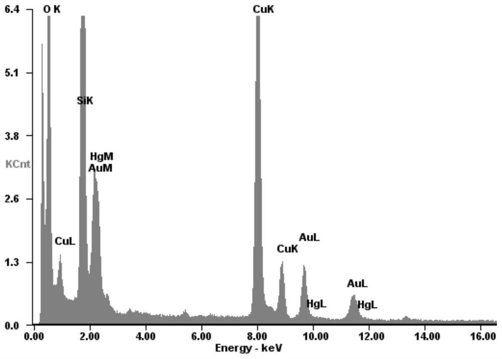 Nano fluorescent probe and its preparation method and application