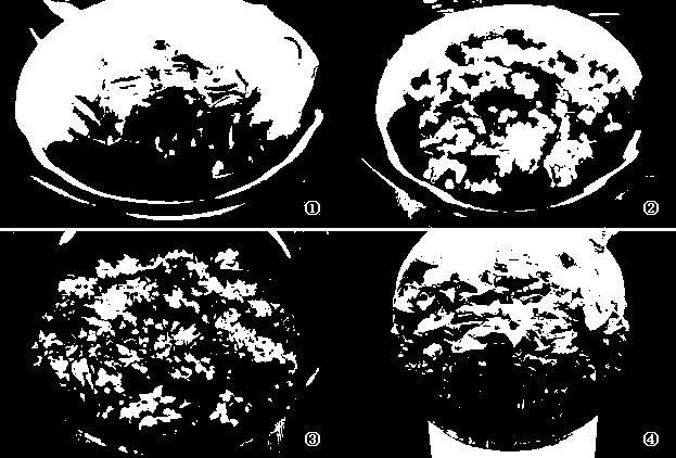 Tissue culture and rapid propagation method for pinellia tuber plant