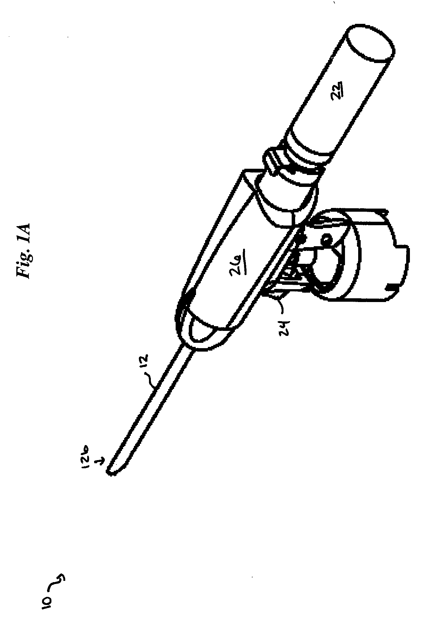 Tissue extraction and maceration device