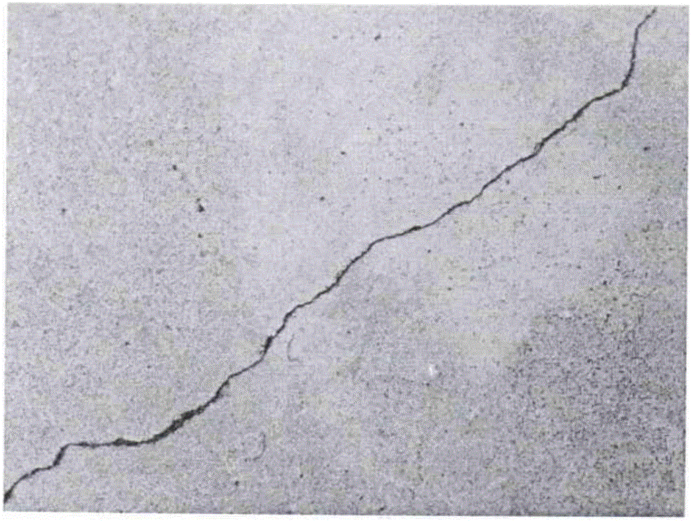 Pavement crack image detection method
