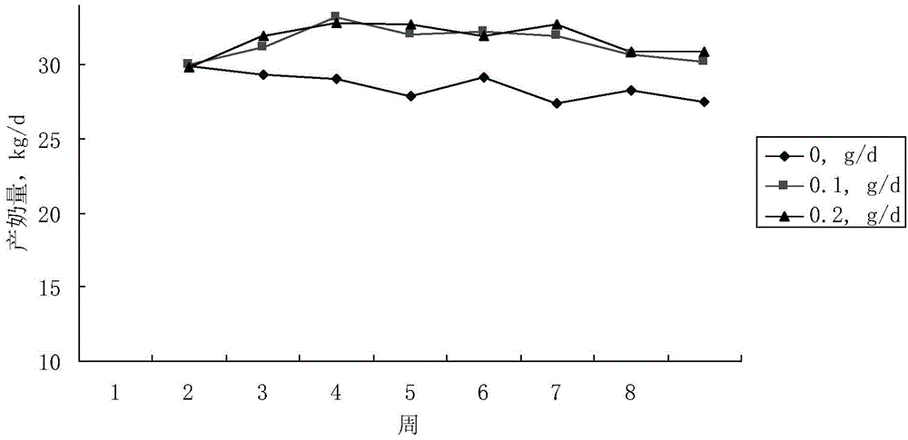 Rumen bypass protection folic acid, cow beverage containing rumen bypass protection folic acid and application of cow beverage