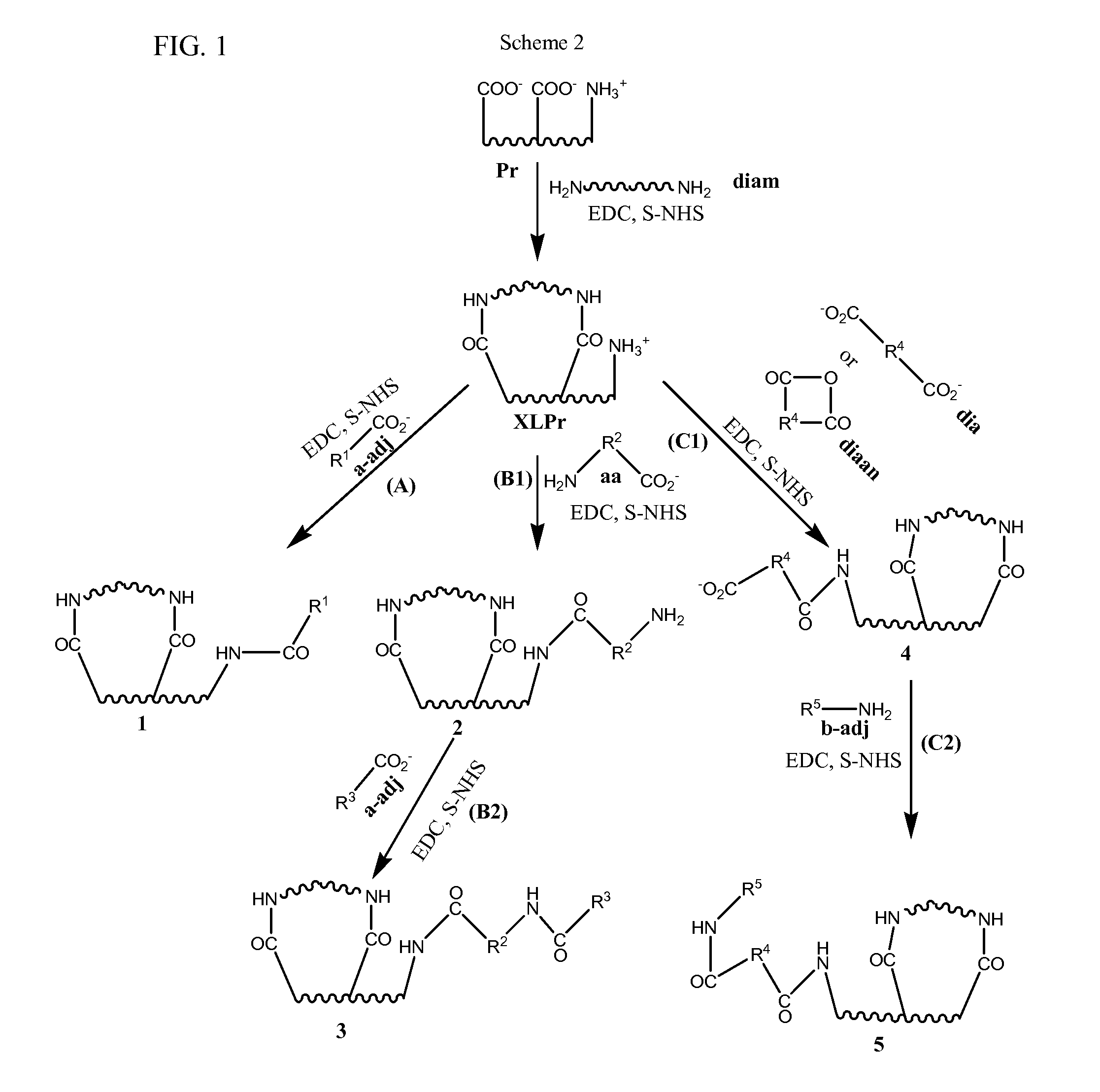 Stabilized, sterilized collagen scaffolds with active adjuncts attached