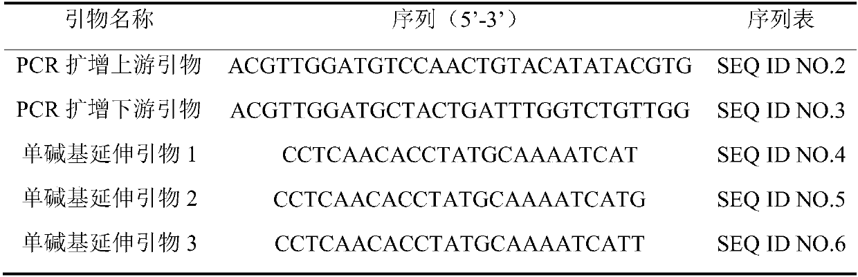 Single nucleotide polymorphism marker sites, primer pair and kit for identification of peach flower shape (bell shape or rose shape) characters and applications thereof