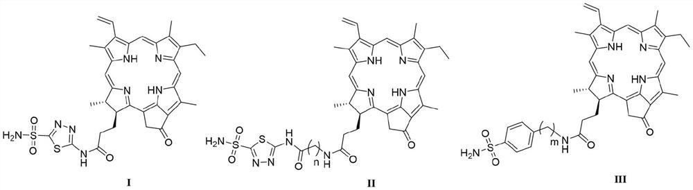 Novel carbonic anhydrase IX targeted photosensitizer and application thereof in field of medicine