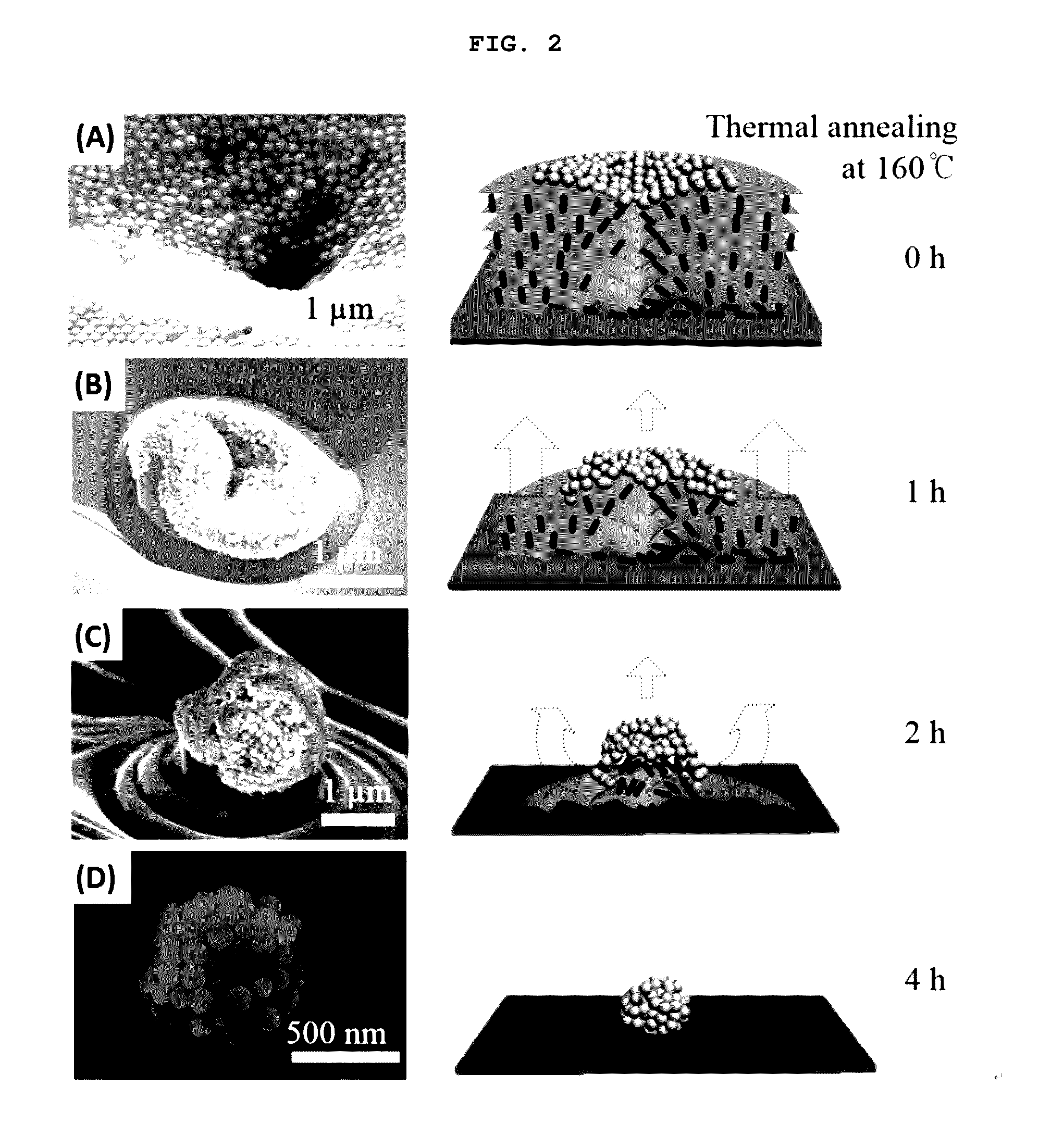 Method of fabricating array of nanoparticle clusters using thermal transformation of sublimable liquid crystal film