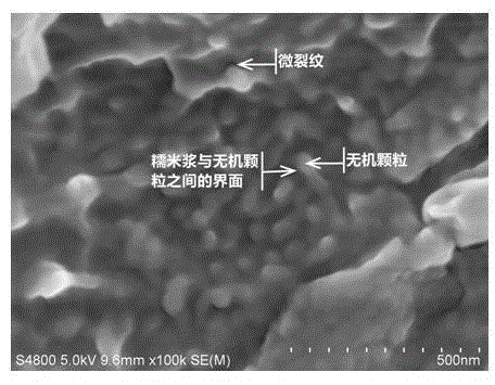 A kind of high-performance monument repairing material and preparation method thereof