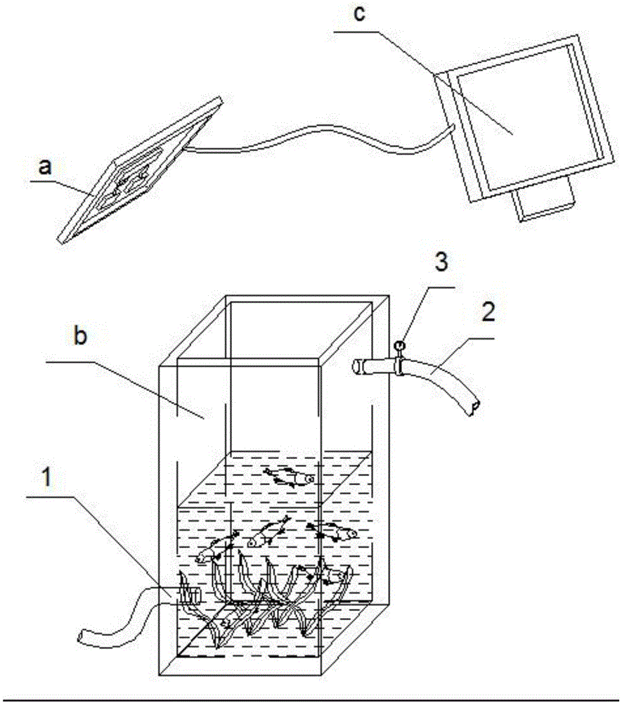 Fishing carbon sink capacity direct calculation method and experimental system thereof