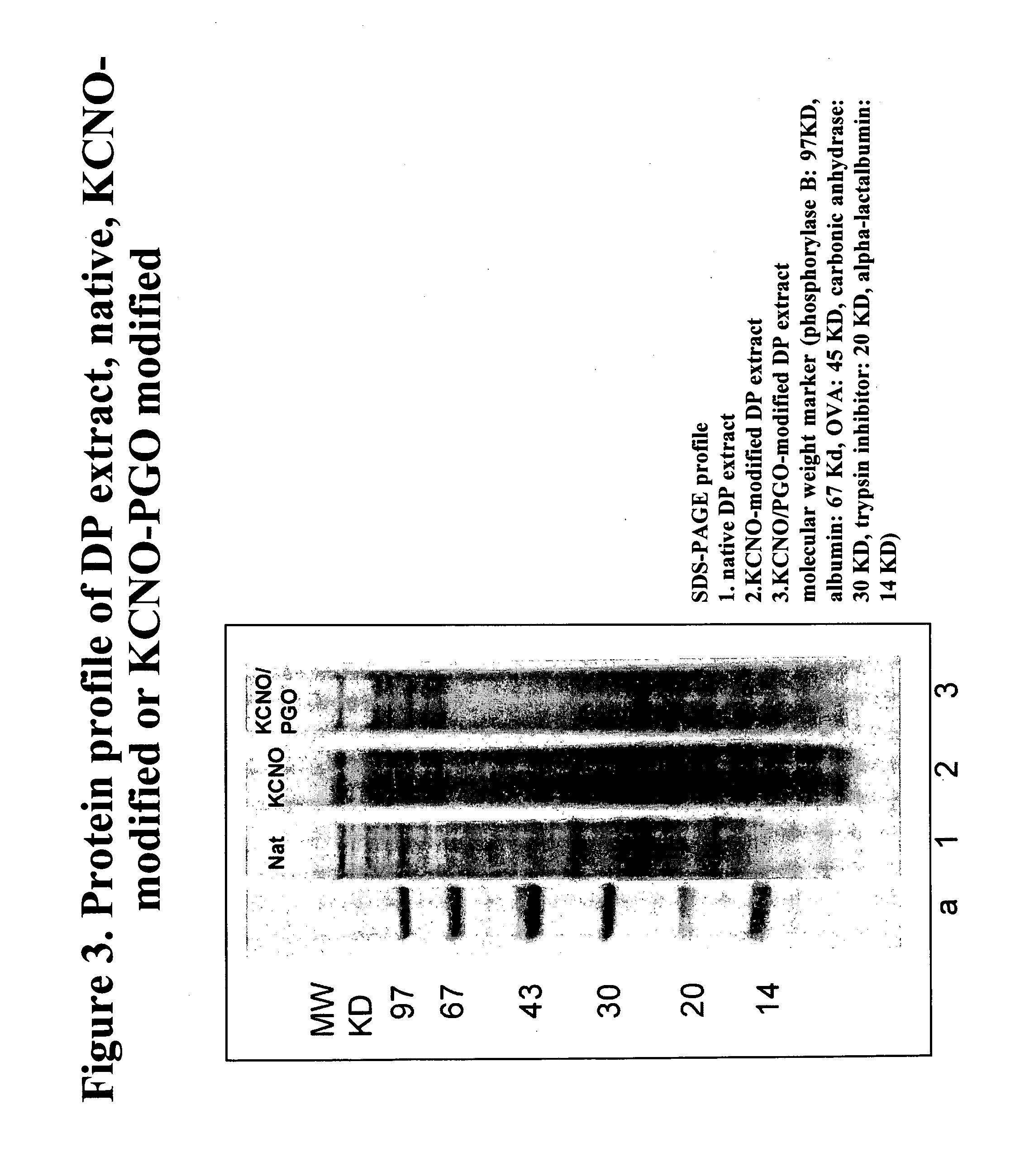 Allergoids Derived from Allergens