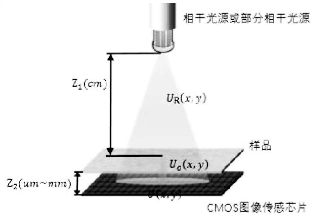 CMOS holographic microscopic imaging device and method applied to cell segmentation