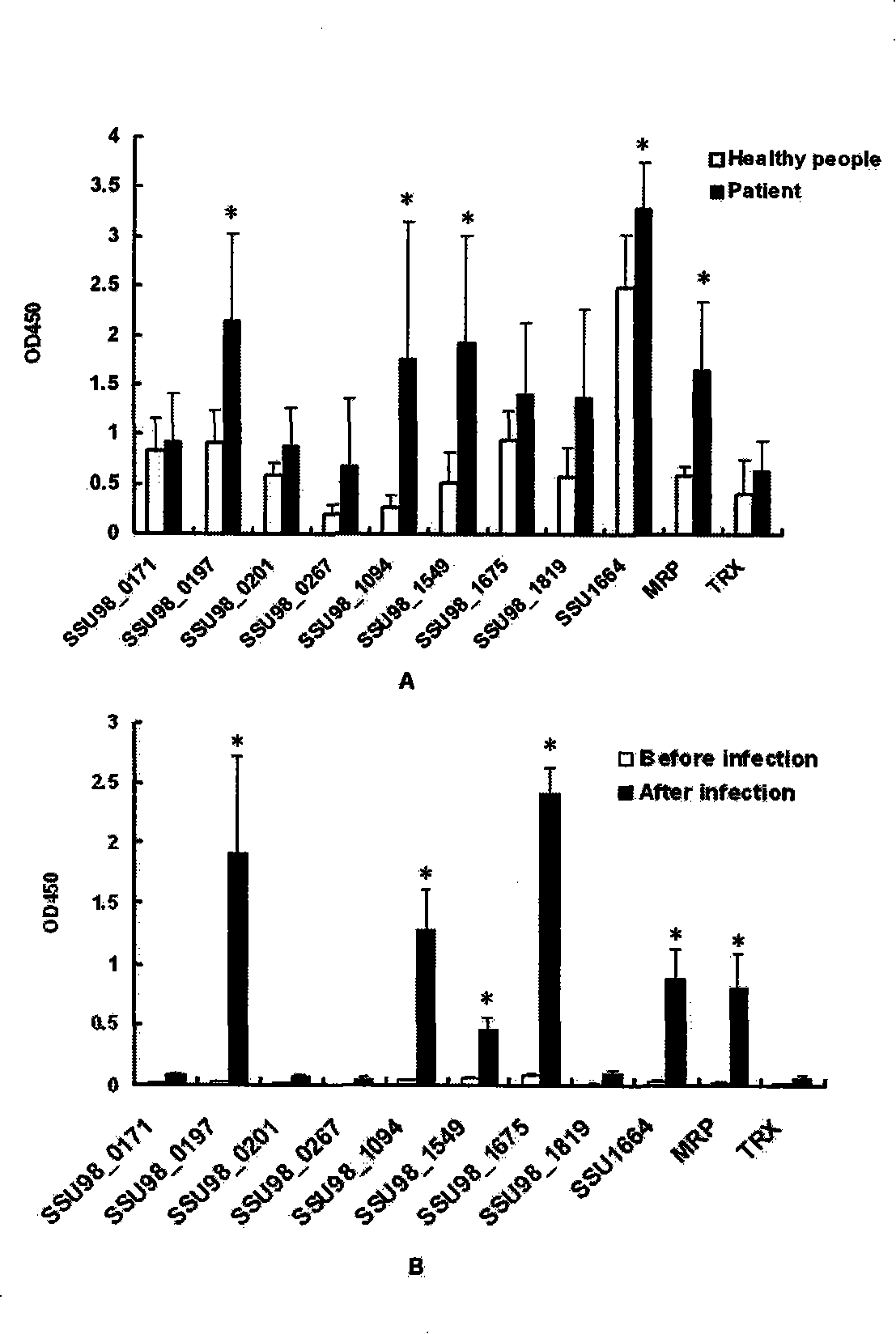 Nucleic acid enzyme surface protein of streptococcus suis 2-type and preparation method and application thereof