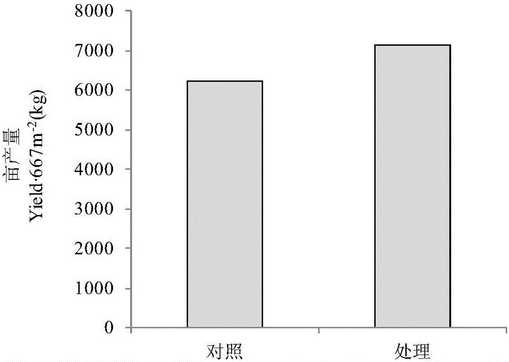 Nutrient solution suitable for high-yield soilless culture of eggplants