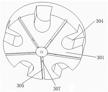 Degassing rotor structure with sealed gas accumulation function