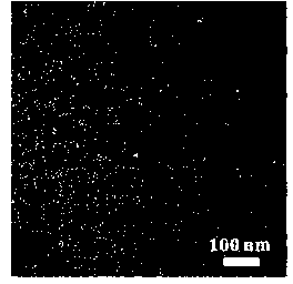 Preparation method for monodisperse bismuth nano-particles with controllable particle sizes