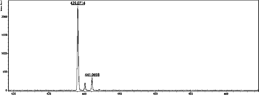 A kind of iron-based catalyst and its preparation method and application in isoprene polymerization