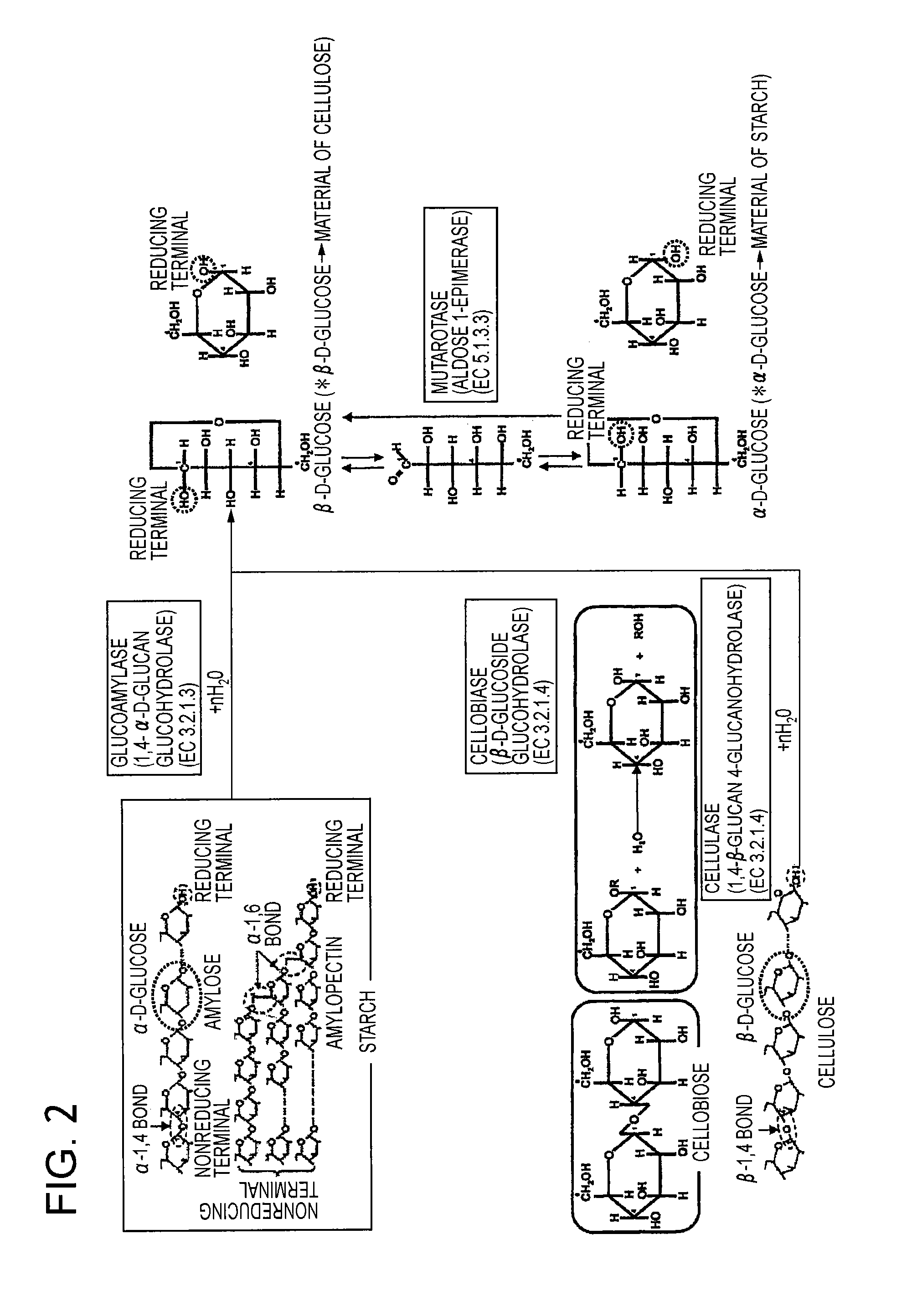 Fuel Cell, Electronic Device, Movable Body, Power Generation System, and Congeneration System