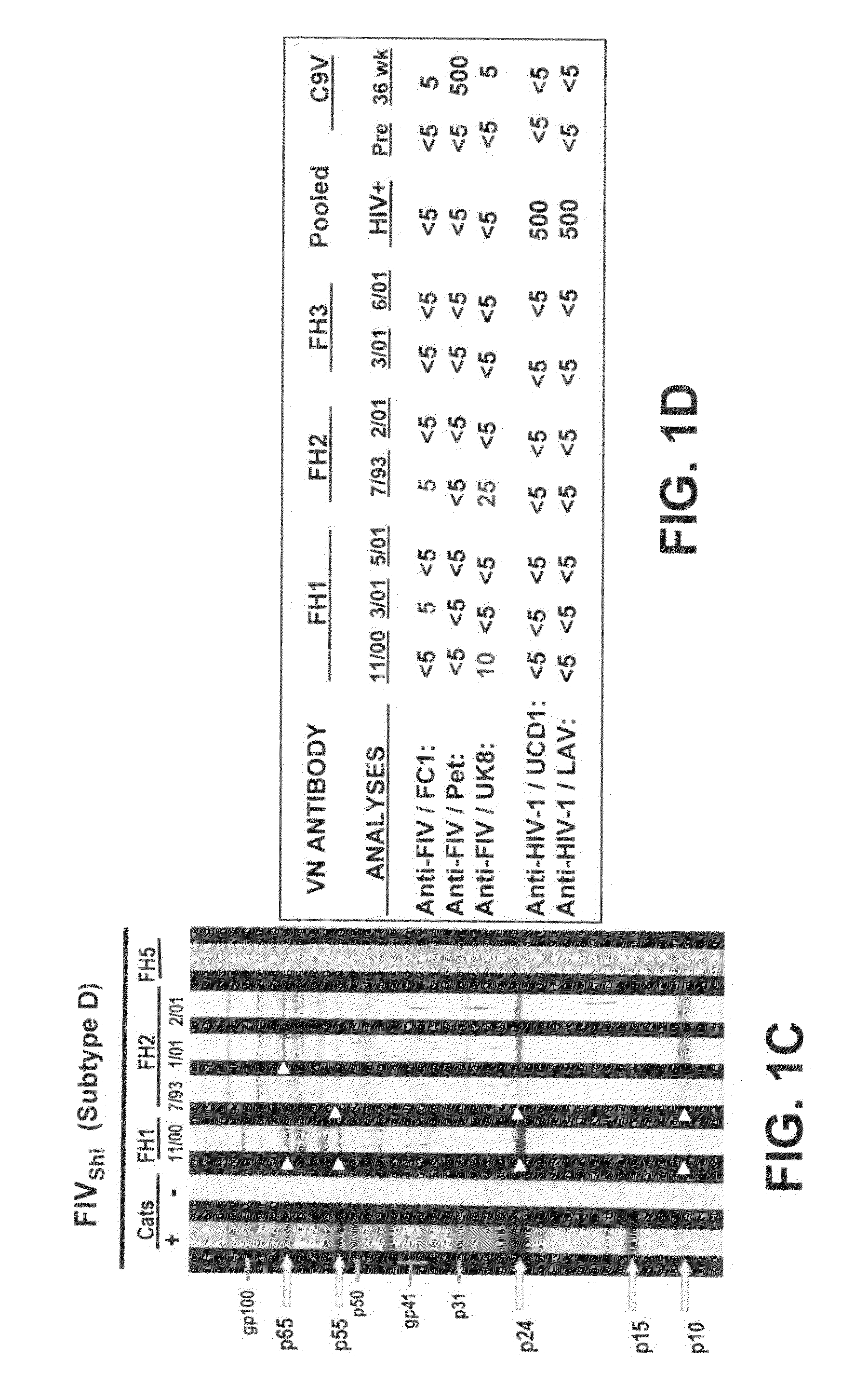 Materials and Methods for Detecting, Preventing, and Treating Retroviral Infection