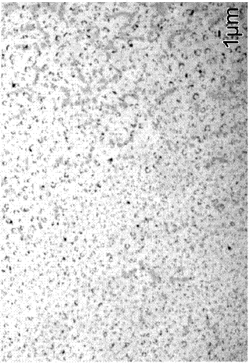 Oil displacement micro-lactic acid system for acidizing and plugging removal and preparation method thereof