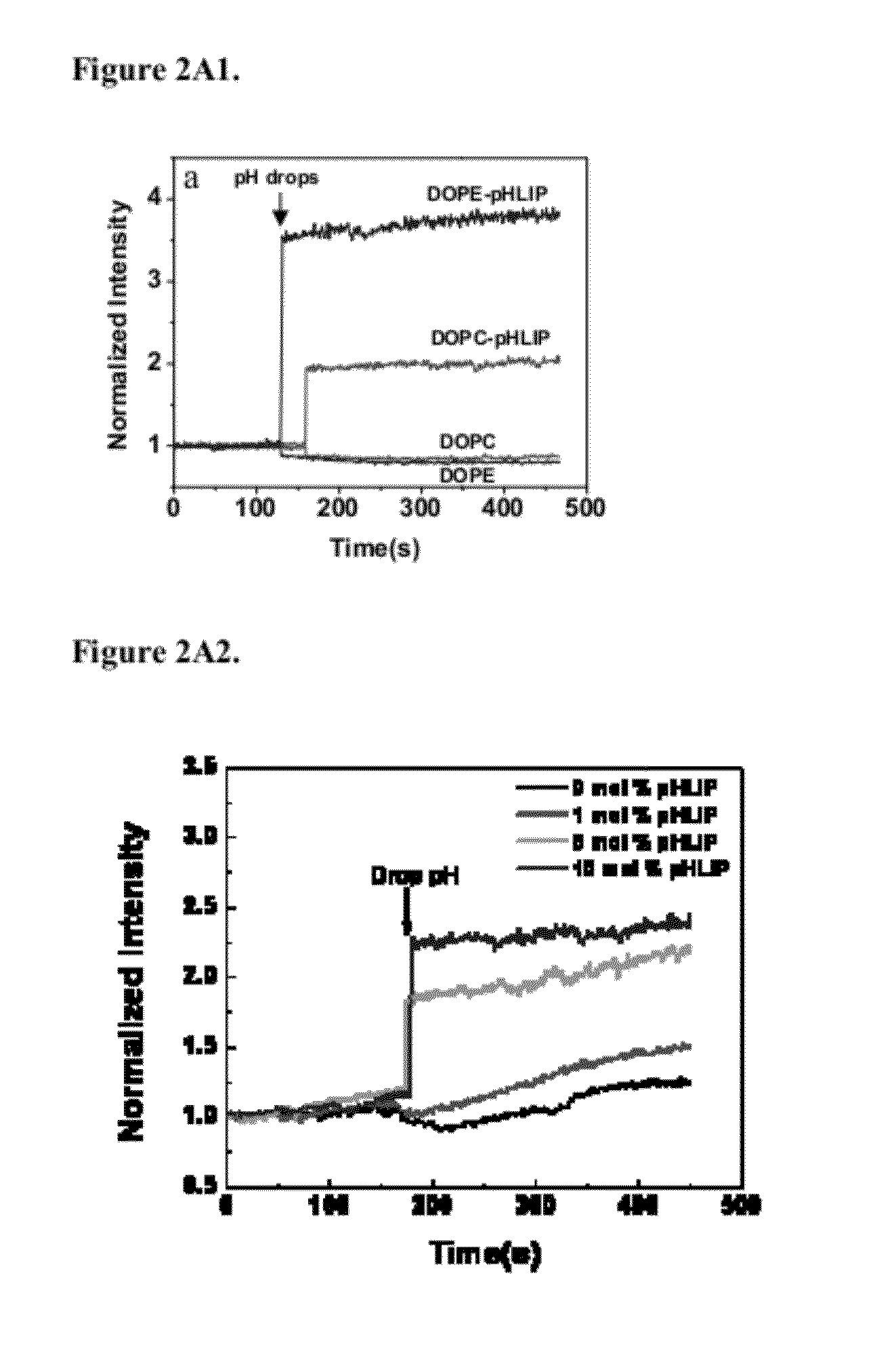 Liposome compositions and methods of use thereof