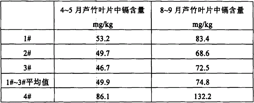 A preparation method of biochar-like for remediation of heavy metal polluted soil