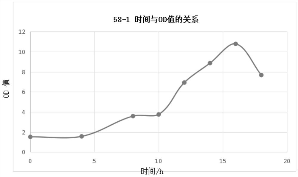 Inactivated vaccine for sheep rapid epidemic, sudden attack, lamb dysentery, enterotoxemia triple four-defense and preparation method thereof