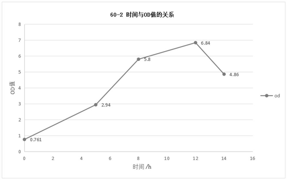 Inactivated vaccine for sheep rapid epidemic, sudden attack, lamb dysentery, enterotoxemia triple four-defense and preparation method thereof