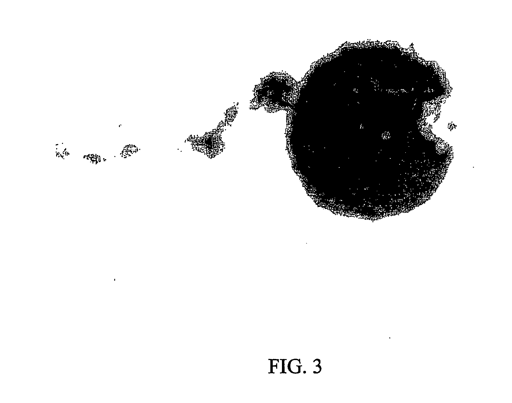 Tropicalizing agent, and methods for making and using the same