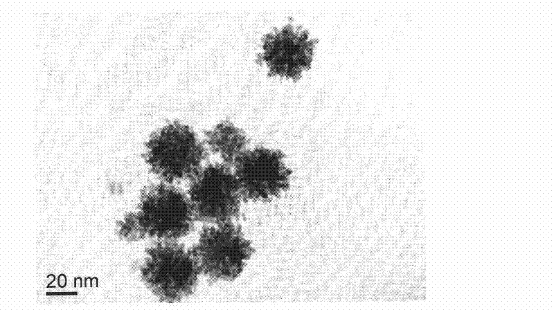 Preparation method of platinum nanoparticles