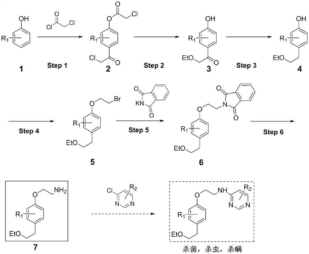 A method for preparing 2-[4-(2-ethoxyethyl)-2,3-dimethylphenoxy]ethylamine