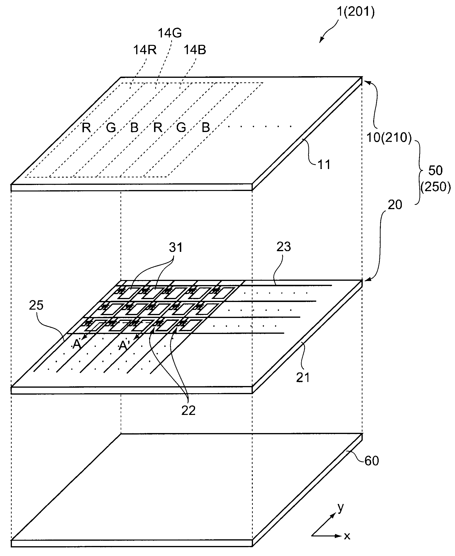 Liquid crystal apparatus, color filter substrate, and array substrate