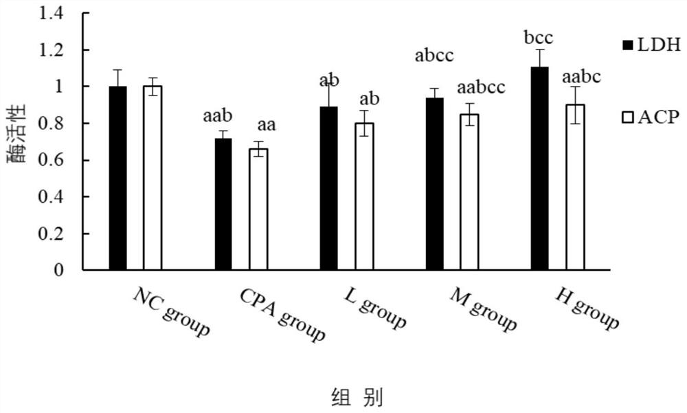 Protein WG-SP01 with immunomodulatory activity