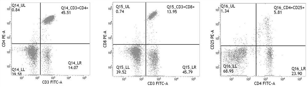 Protein WG-SP01 with immunomodulatory activity