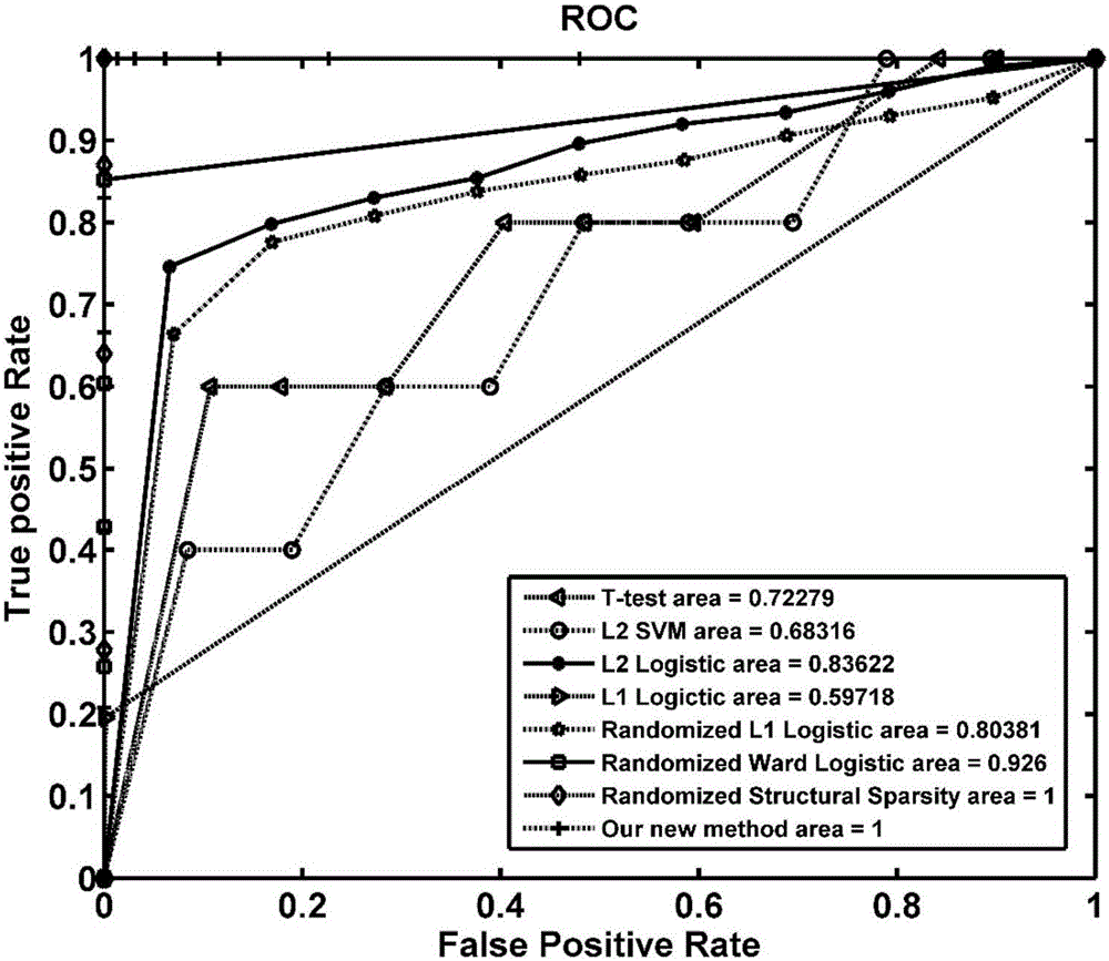 FMRI data feature selection method based on stability selection