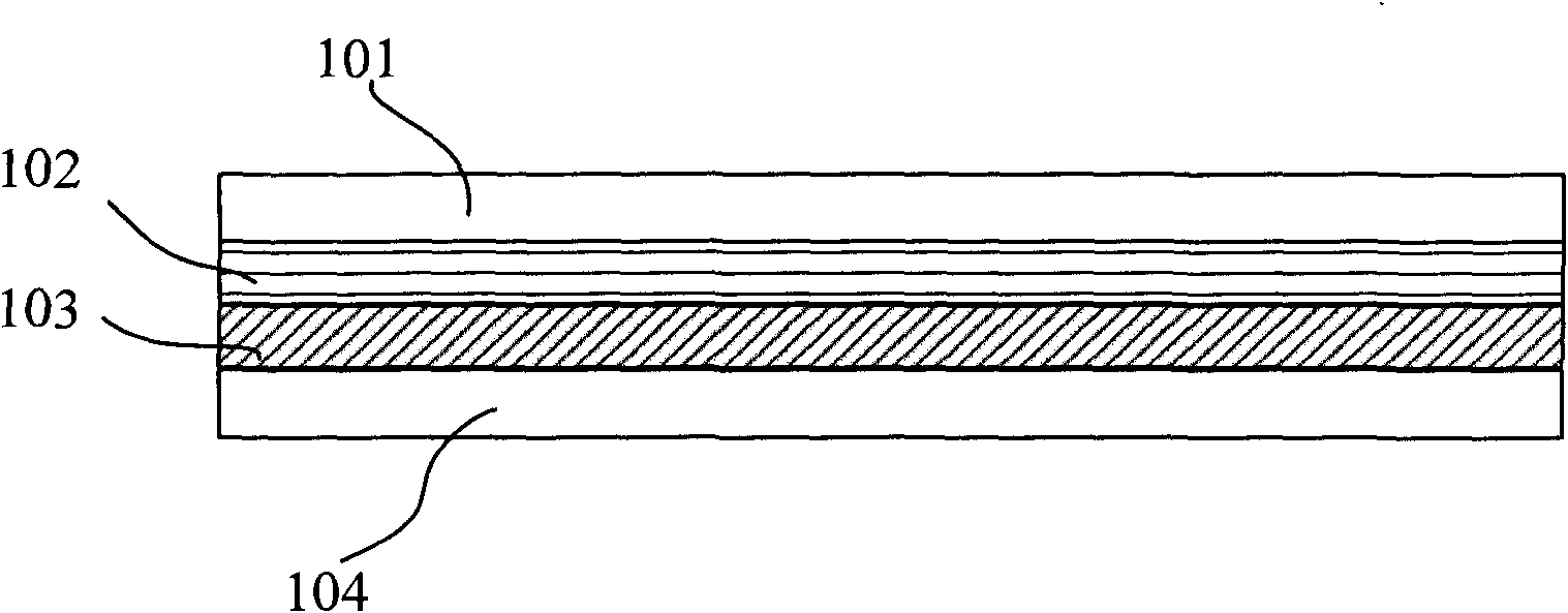 Plastic floorboard and manufacturing method thereof