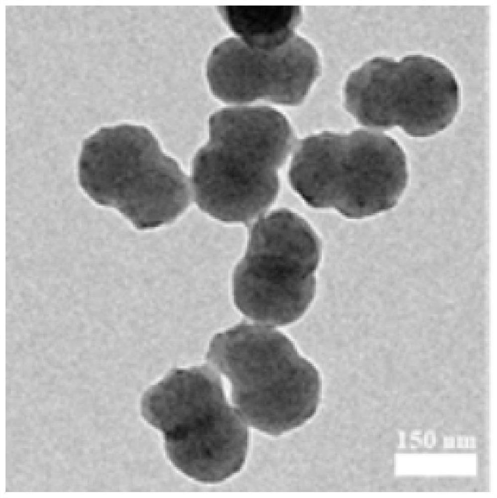 A kind of janus structure polymer-based nano metal catalyst and its preparation method and application