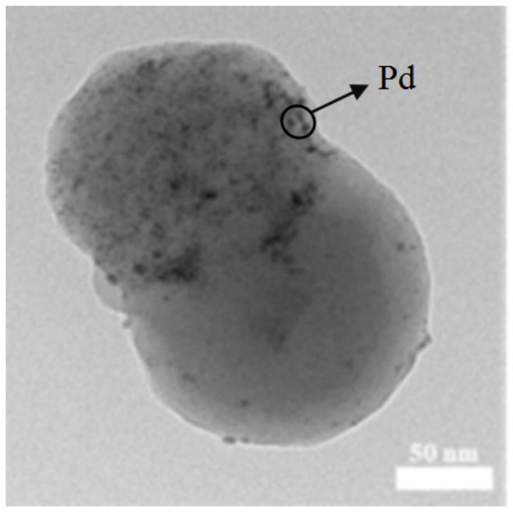 A kind of janus structure polymer-based nano metal catalyst and its preparation method and application