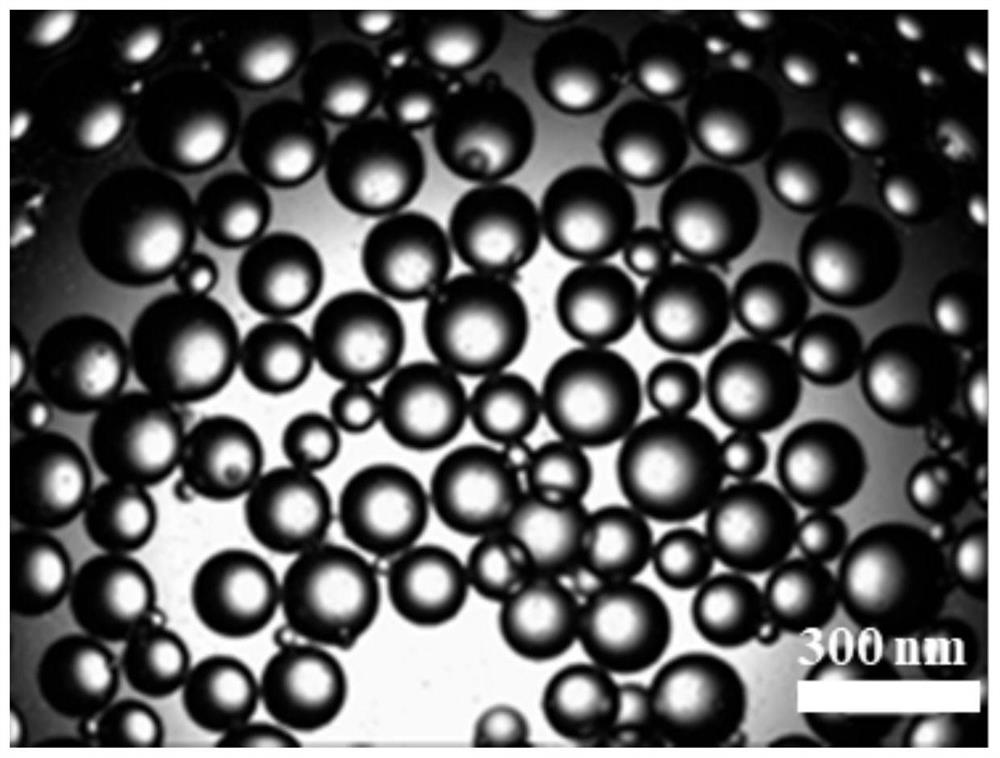 A kind of janus structure polymer-based nano metal catalyst and its preparation method and application