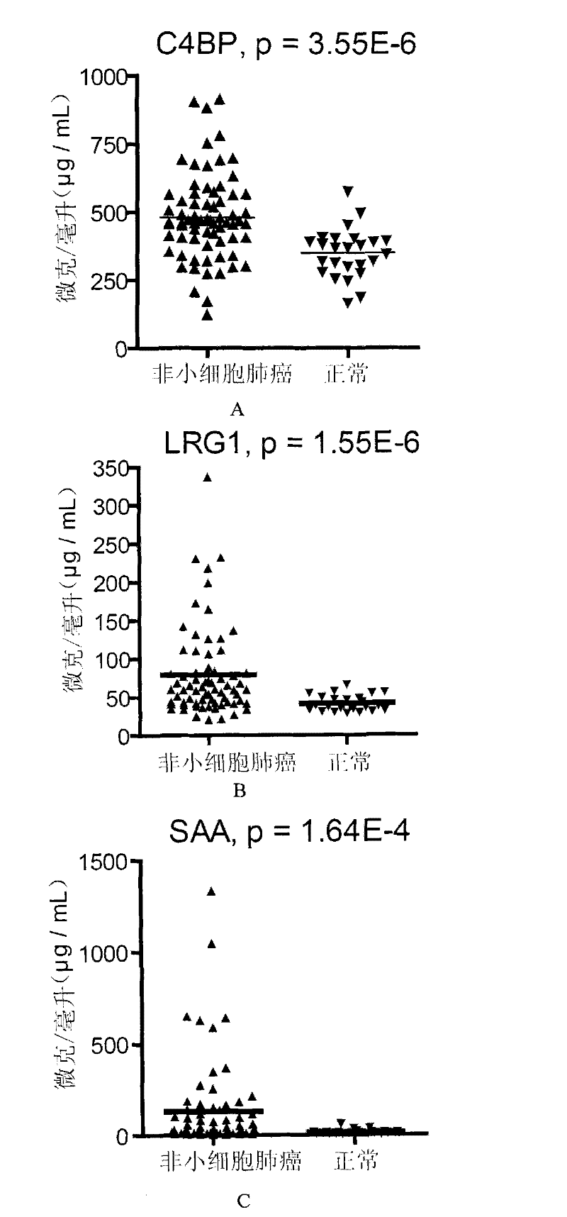Non-small cell lung cancer molecular marker and its application