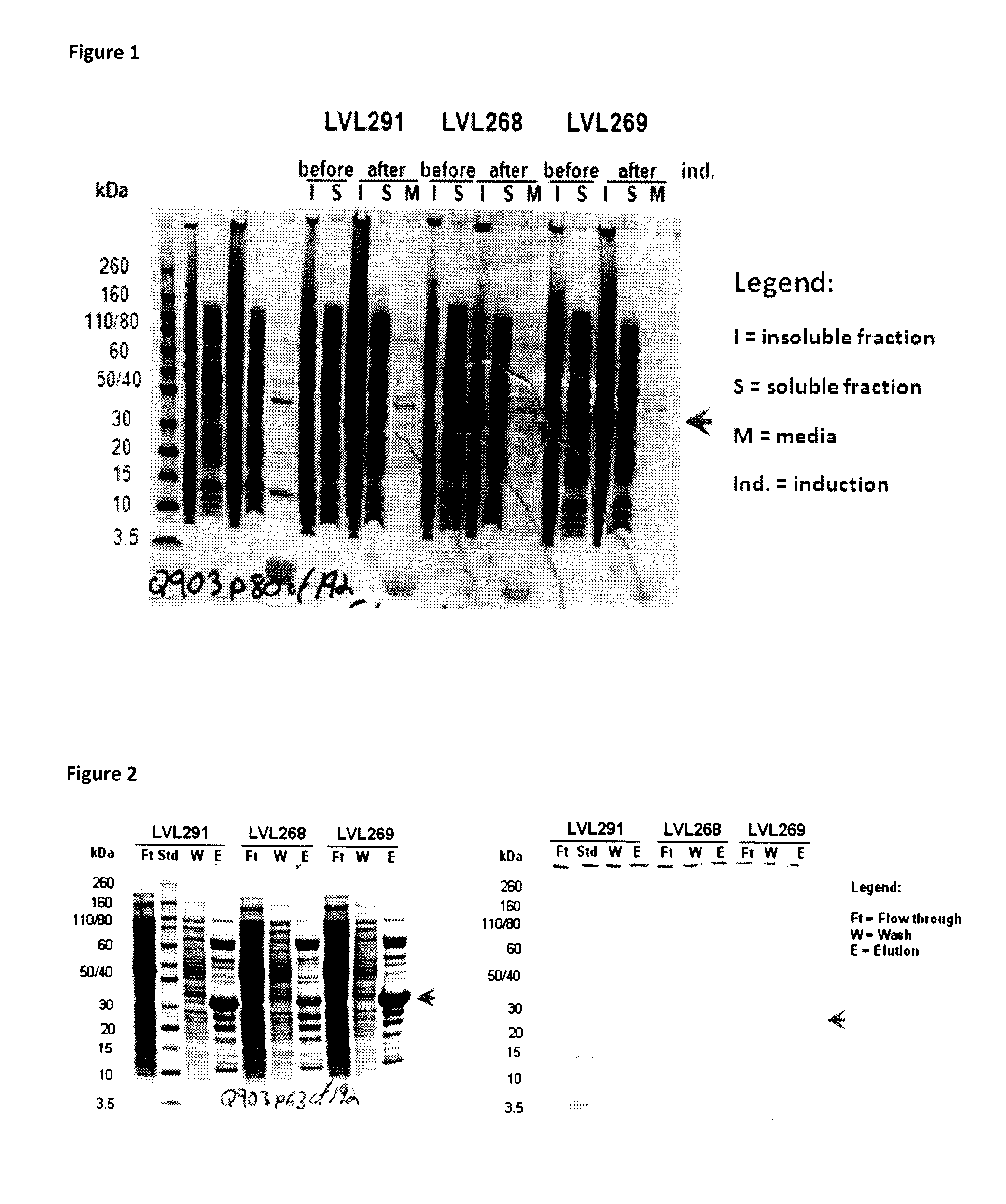 Fusion proteins and combination vaccines comprising <i>Haemophilus influenzae </i>Protein E and Pilin A