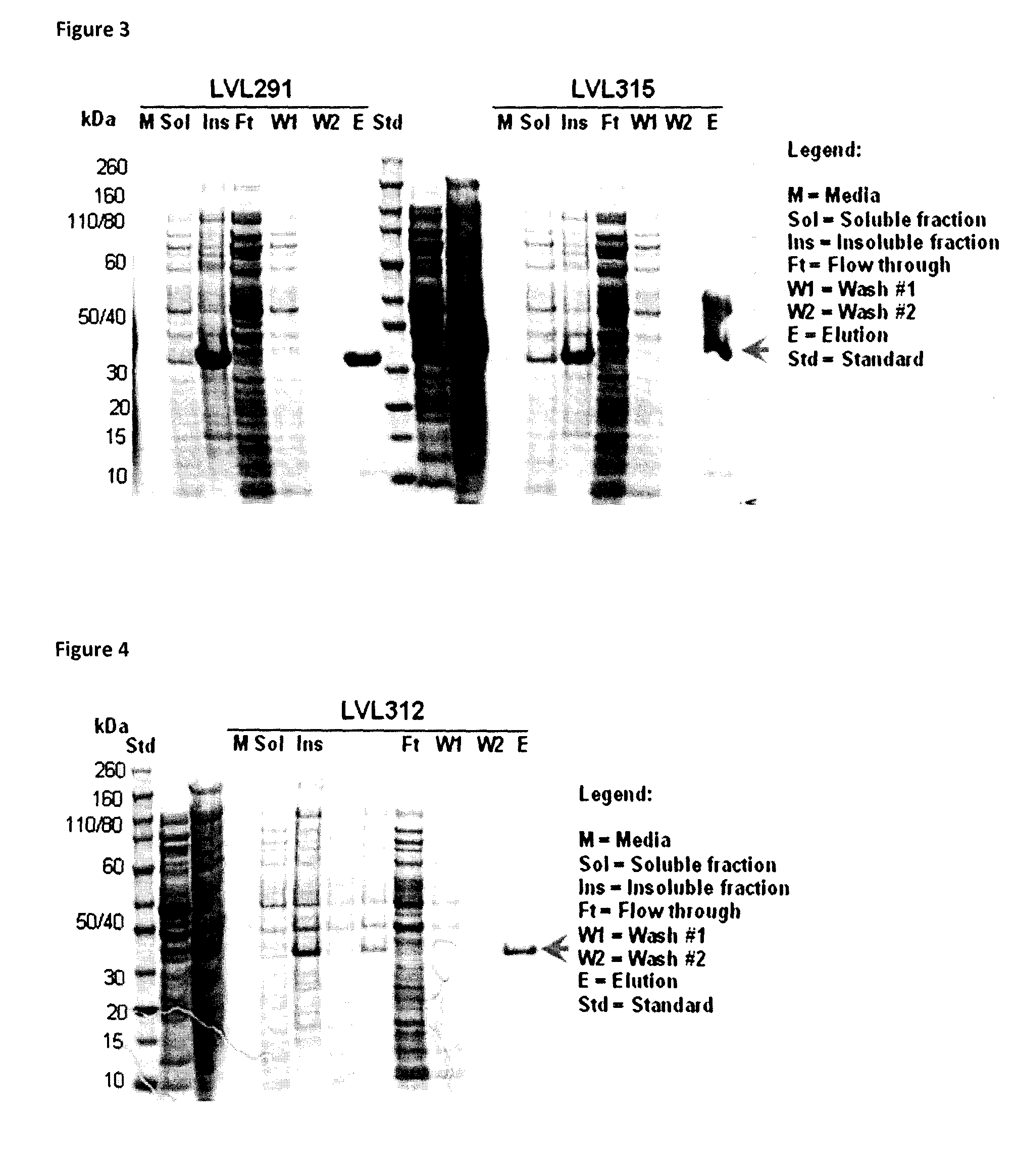 Fusion proteins and combination vaccines comprising <i>Haemophilus influenzae </i>Protein E and Pilin A