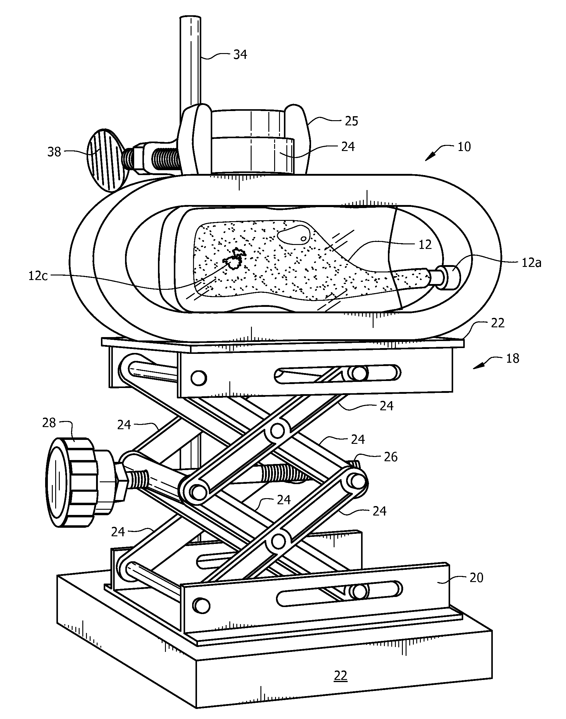 Magnetic three-dimensional cell culture apparatus and method