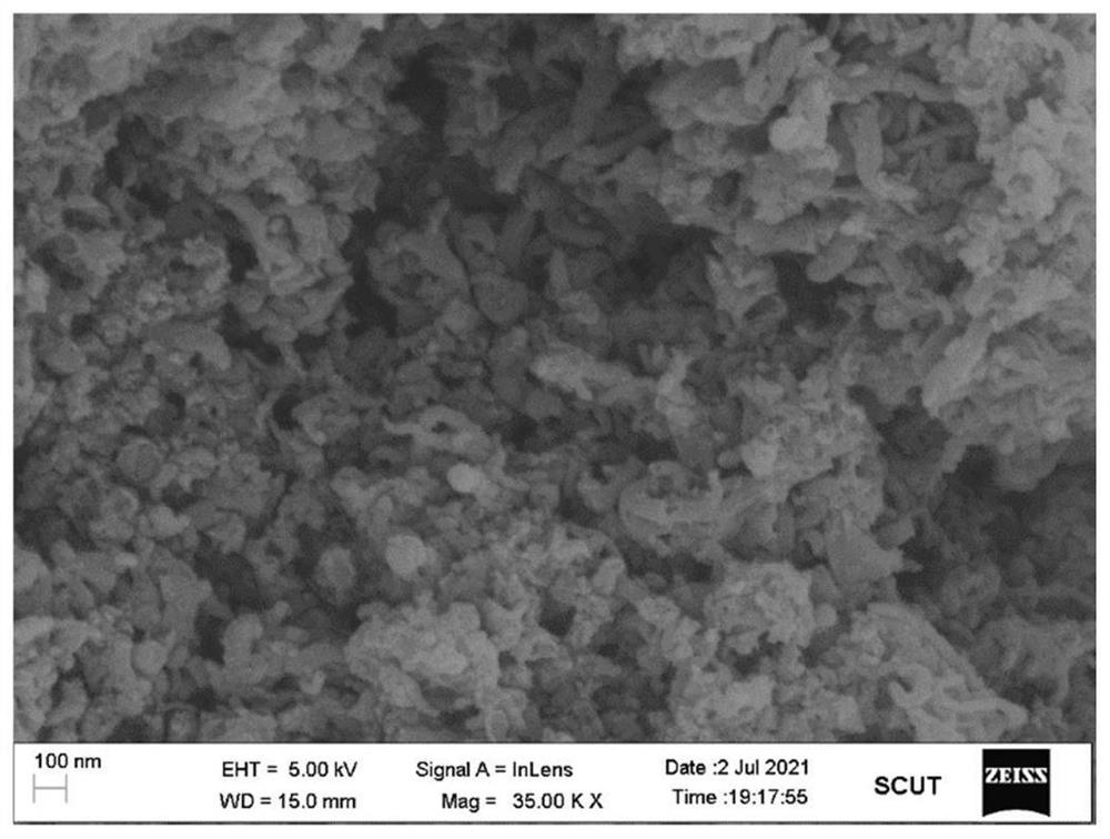 Preparation method and application of nitrogen and oxygen co-doped carbon material containing 3d metal single atom
