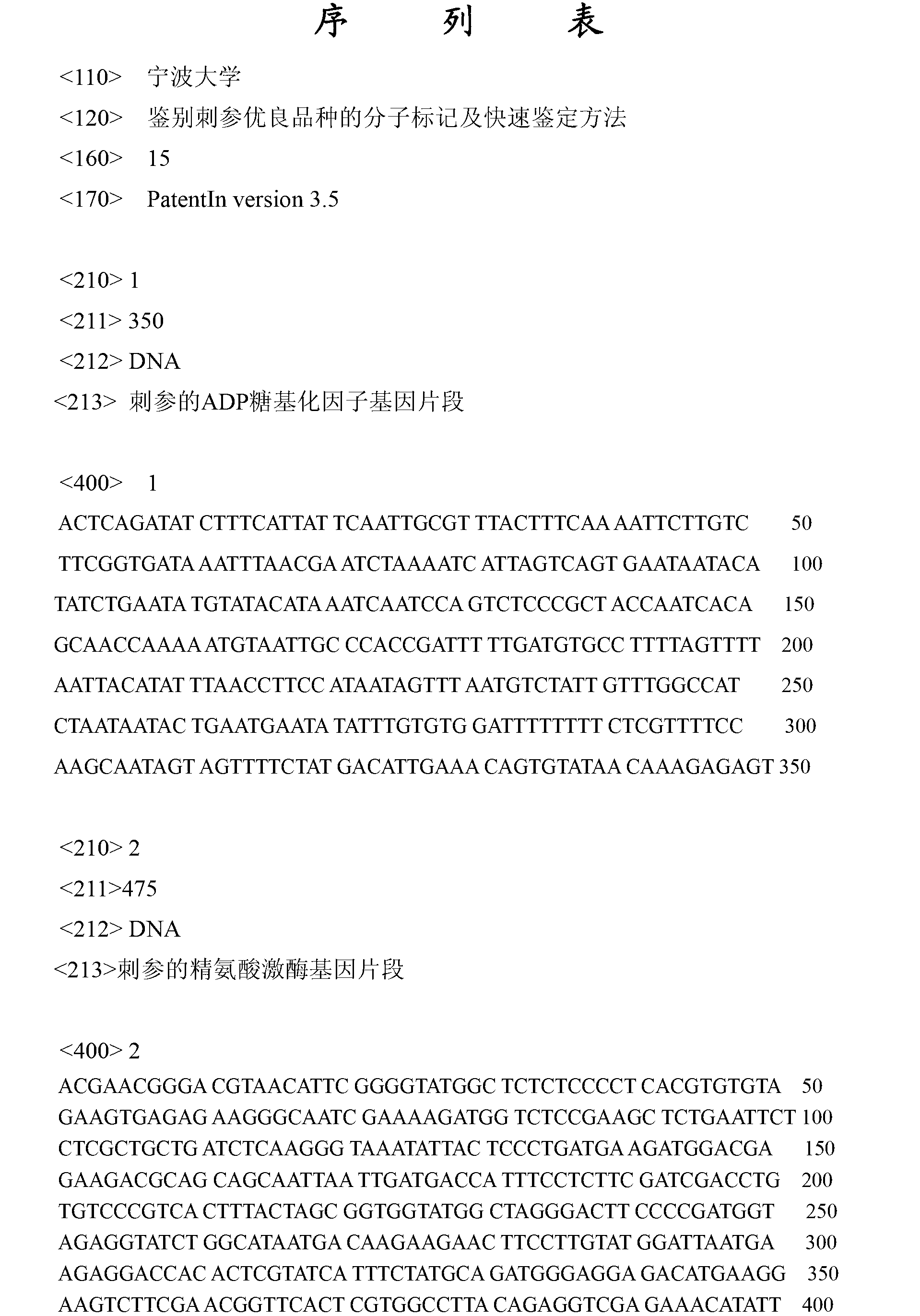 Molecular marker and method for identifying excellent stichopus japonicus selenka variety