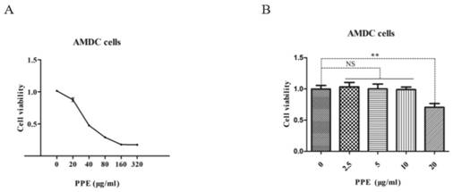 Application of Guizhi Zhonglou Xuejie Extract in the Preparation of Drugs for Adenomyosis