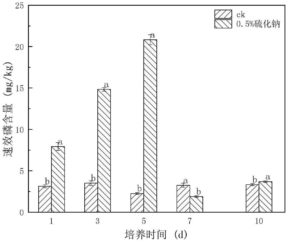 Method for rapidly improving activity of phosphorus left in soil by applying sulfide