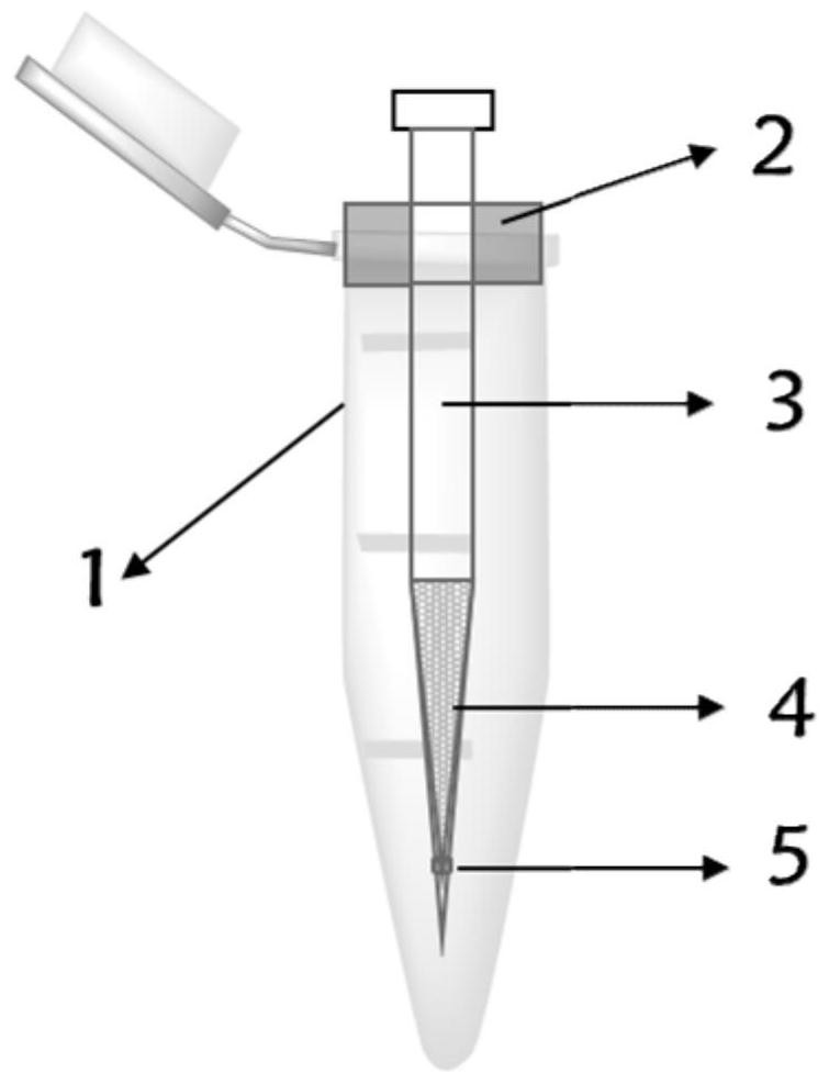 A kind of phosphopeptide solid-phase extraction column and its preparation and application