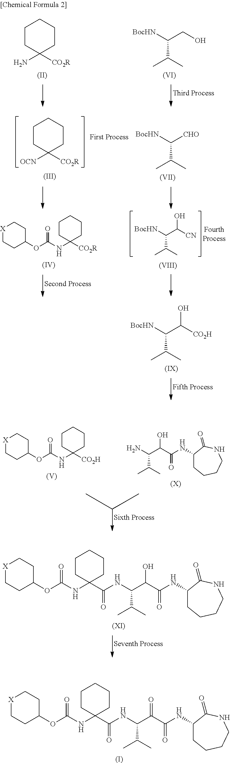 Alpha-oxoacyl amino-caprolactam derivative