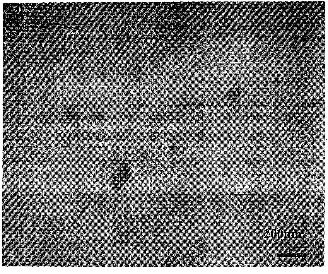 Directional arrangement method for nickel-supported multi-walled carbon nanotubes